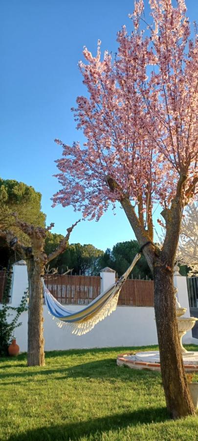 La Espiga Villa Valladolid Dış mekan fotoğraf