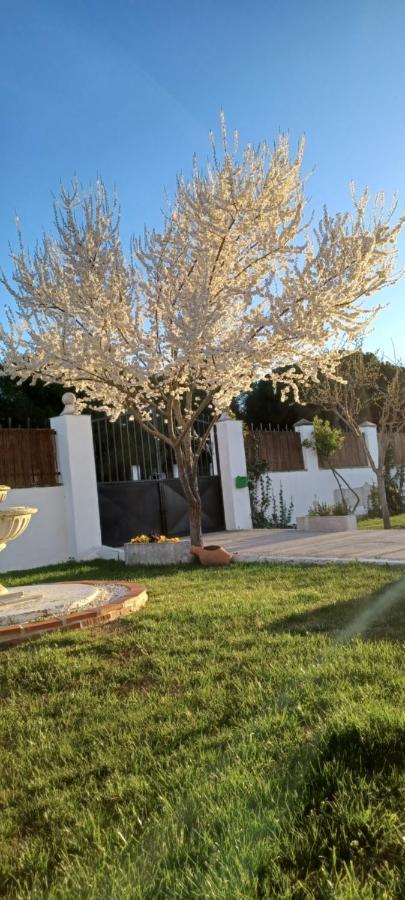 La Espiga Villa Valladolid Dış mekan fotoğraf