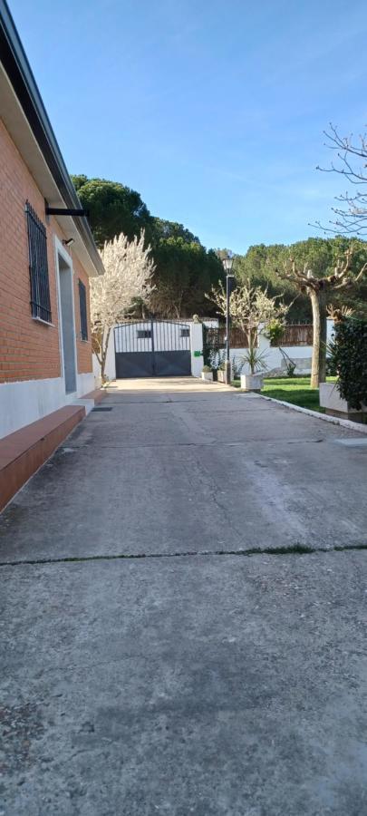 La Espiga Villa Valladolid Dış mekan fotoğraf